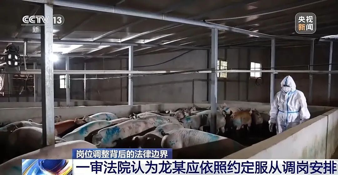 电工突然被领导调去养猪,给3个月培训期,其不服提起诉讼,法院判了 - 5