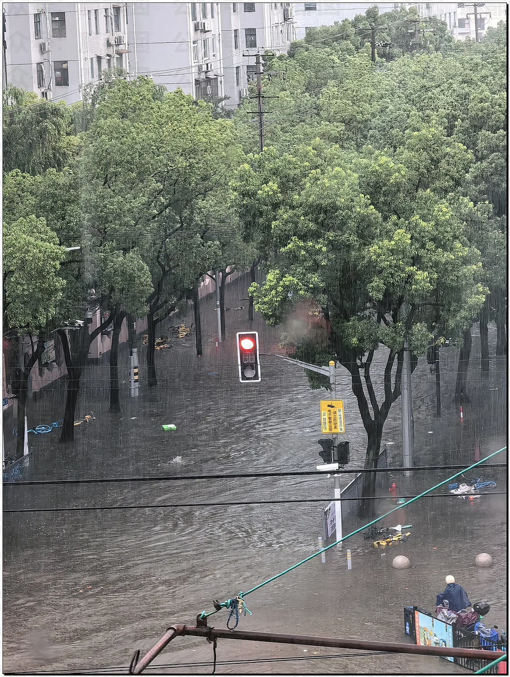 上海变海上?魔都多地严重内涝,街头积水及腰,盒马被淹(视频/组图) - 9