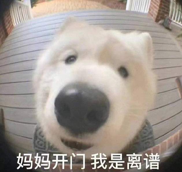 网传“新加坡用PR身份吸引中国美女留学生嫁印度人”?!真相竟然是… - 6