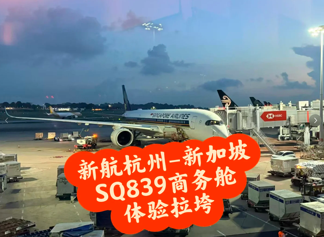 中国网友爆料：新航商务舱体验太差！不能自助值机、休息室一言难尽...（组图） - 1