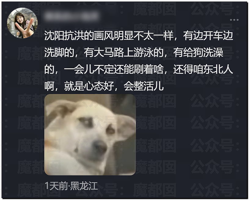 丘成桐发怒把一群“邱班数学天才学生”清退内幕大家听说了么? - 8