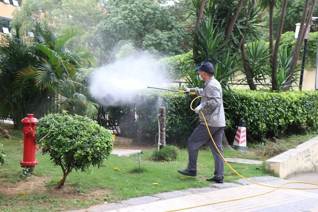 单周激增54起、近700人感染，新加坡这一病例连续攀升！中国多地拉响警报… - 21