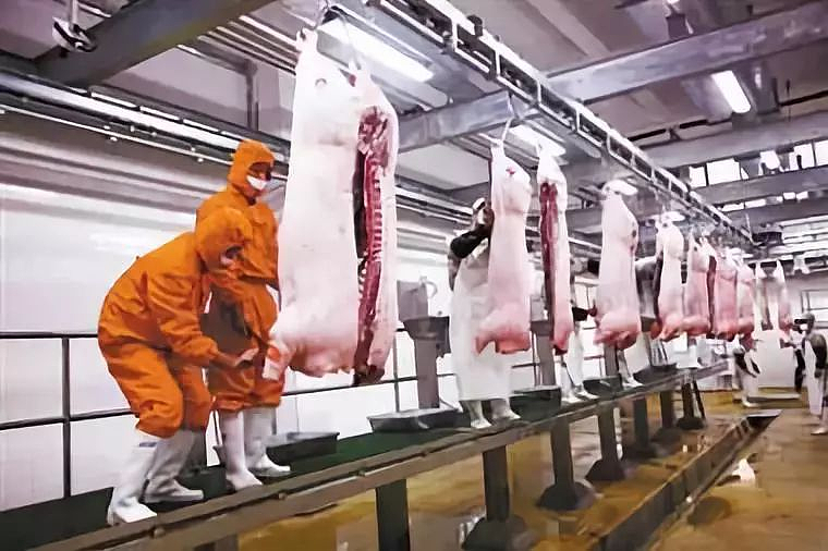 30年禁令解除,猪血回归新加坡!食品局:已批准泰国进口(组图) - 7