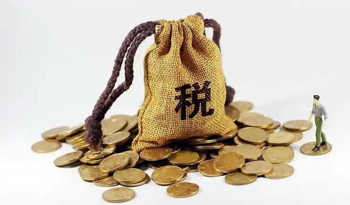中国追税风暴刮到新加坡,5倍重罚!目标超级富豪(组图) - 14