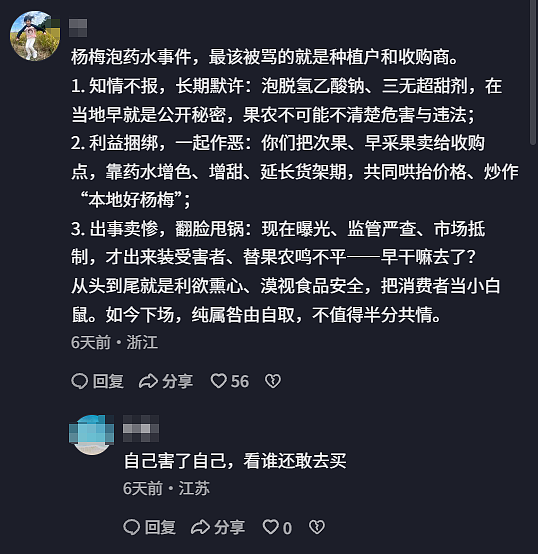 人人喊打的“泡药杨梅”，被自己人坑惨了（组图） - 28