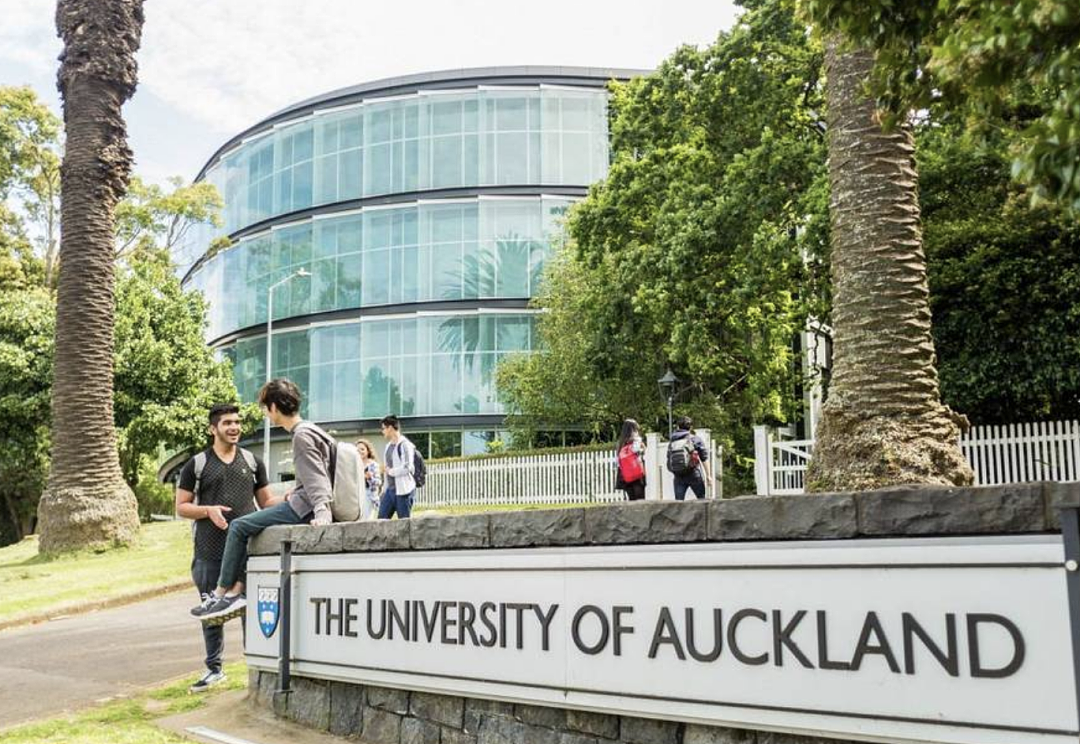 最新QS大学排名！新西兰“八大”全线飘红，这些王牌专业赢麻了（组图） - 5