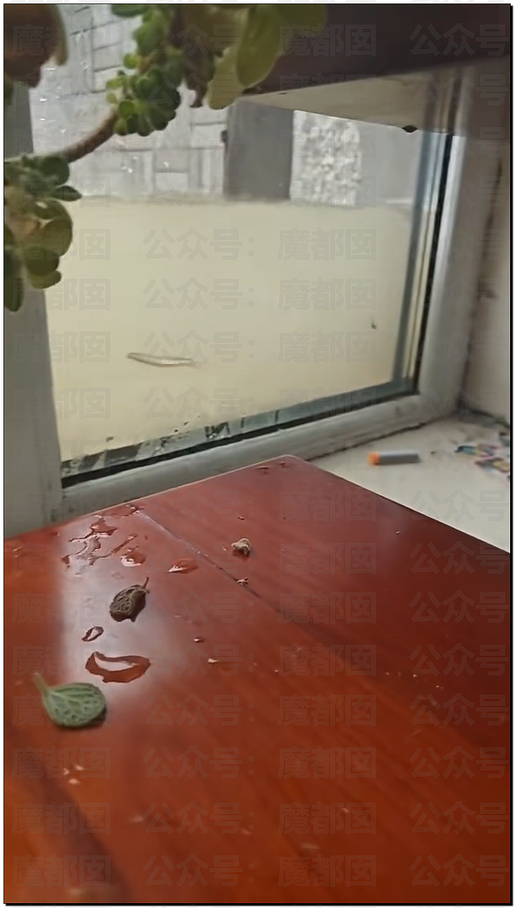 突发反转!甜美天才少女蒋方舟被撤销学位!B子立牌坊终于崩塌! - 27