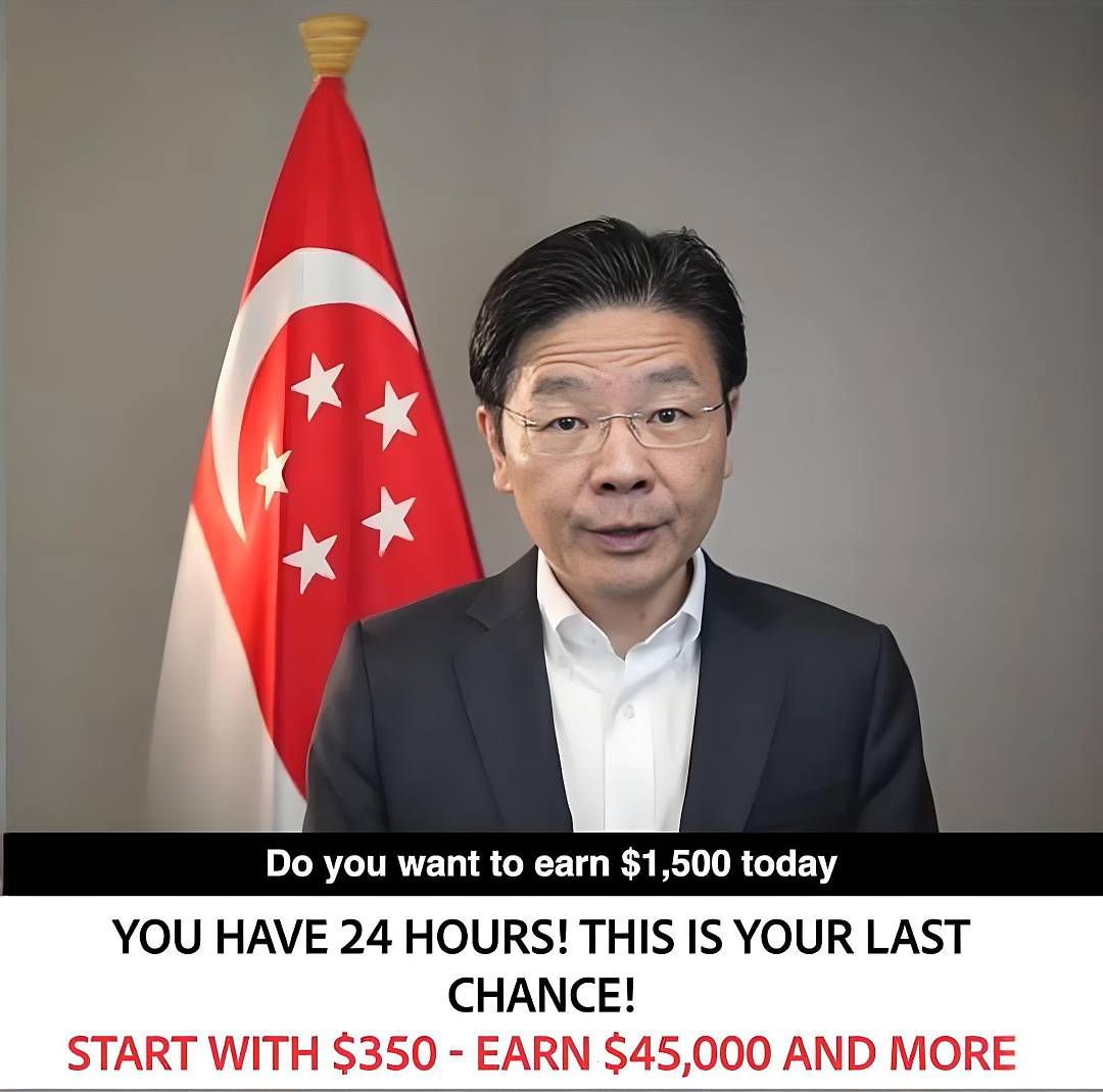 新加坡富豪自曝被“黄循财总理”骗走$490万！总统、众政商部长也被迫入局...官方紧急发声 - 14