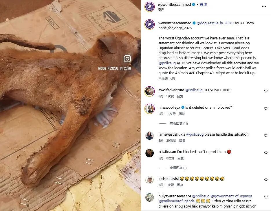 非洲虐狗都成产业了？一边打断狗腿，一边在网上求助：请捐款给狗治病（组图） - 10