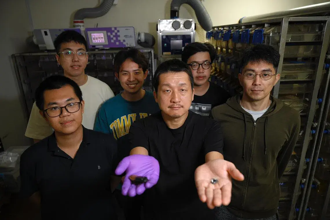 日本科学家爆改7.5厘米大蟑螂,还会潜水存活3小时?! - 8