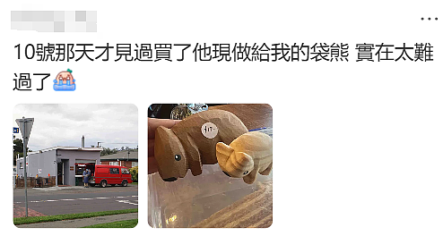 无数华人震惊又难过!那个备受喜爱的澳洲袋熊爷爷,突然去世了! - 13