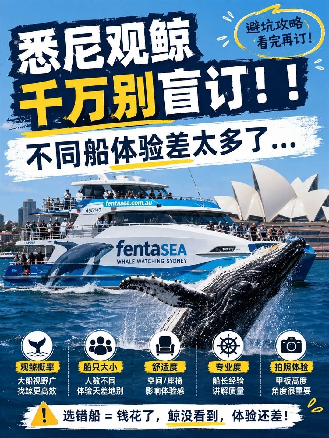 悉尼观鲸千万别盲订!!不同船体验差太多了… - 1