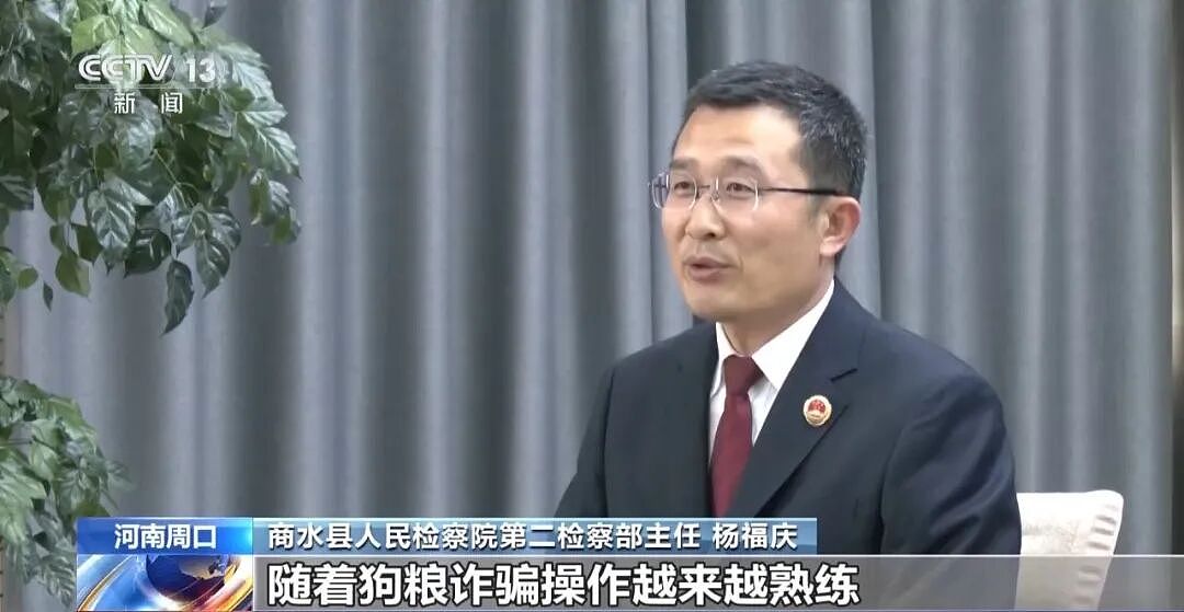 央视曝光动物救助直播骗局：低价买残疾狗卖惨摆拍，骗了250万仅3000元用在狗身上，平台投流60多万，其余大部分用于买豪车等挥霍 - 14