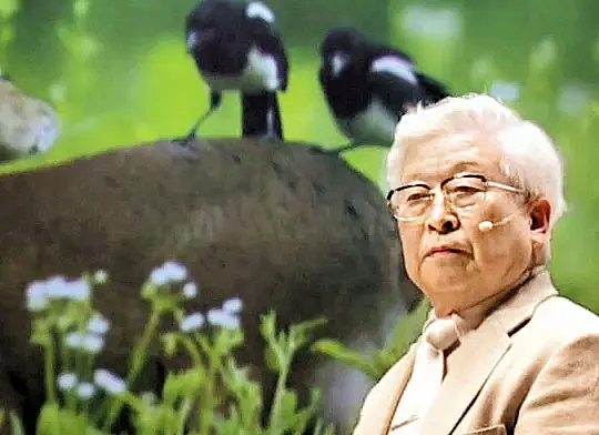 韩民众悼念世越号沉没12周年仍追问真相!总统海警船长幕后大佬皆阻挠救援,动机恐怖(组图) - 22