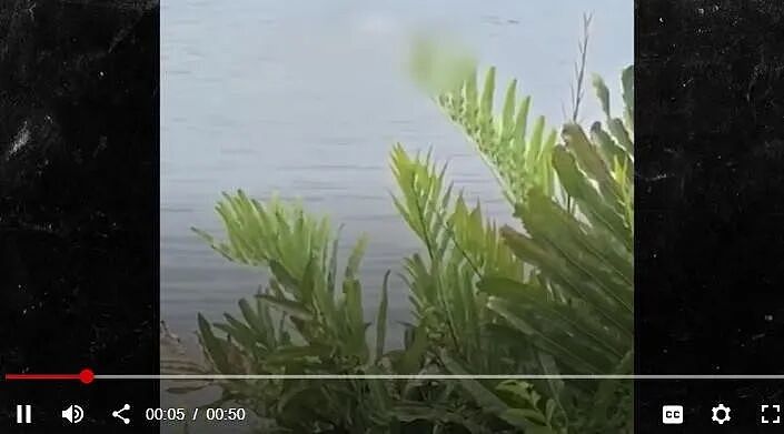前途无量的腹肌小哥,自己疯了!往自己体内注射液态黄金,觉得能获得超能力??啥? - 10