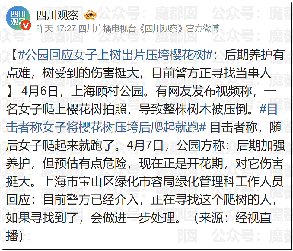 华语顶流天王周杰伦被扒疑似多处抄袭?!(组图) - 34