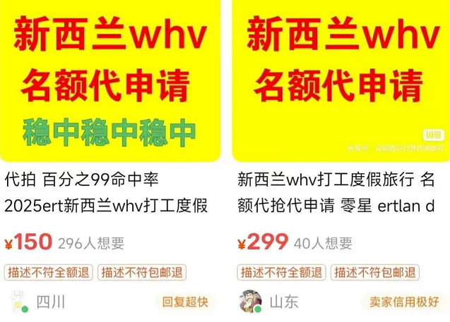 今天,新西兰移民局官网崩了!大批中国申请人愤怒:“一起去举报!”(组图) - 18