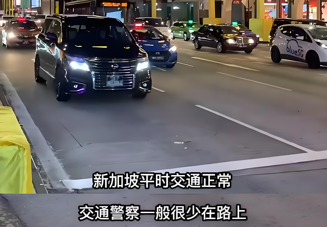 中国网红博主硬核剖析新加坡“封神级”5大生存优势！唯独这点引惹怒无数网友... - 3