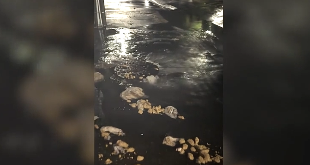 恶臭弥漫整条街!惠灵顿暴雨后污水井喷发!居民开门就是“粪水河”!(组图) - 1