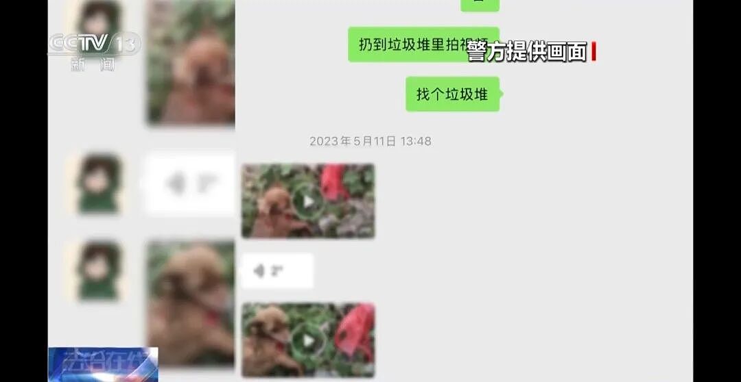 央视曝光动物救助直播骗局：低价买残疾狗卖惨摆拍，骗了250万仅3000元用在狗身上，平台投流60多万，其余大部分用于买豪车等挥霍 - 7