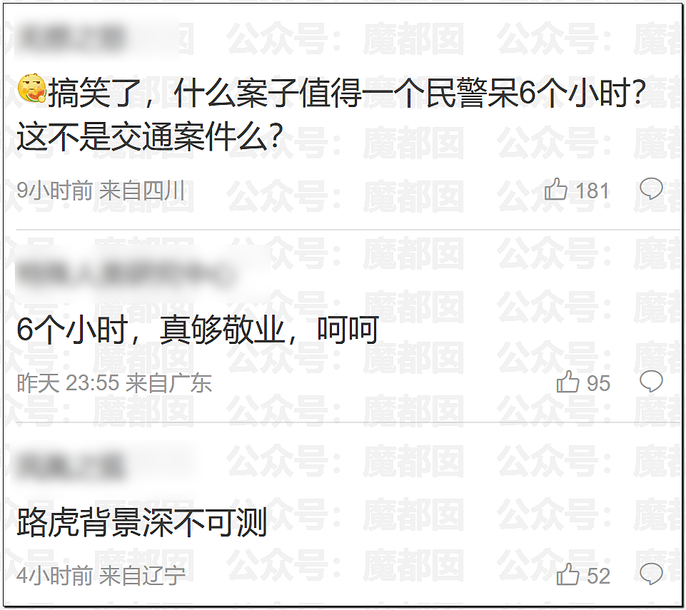 全网质疑：1分钟别停奔驰8次的路虎车主，到底是哪位达官显贵？（组图） - 50