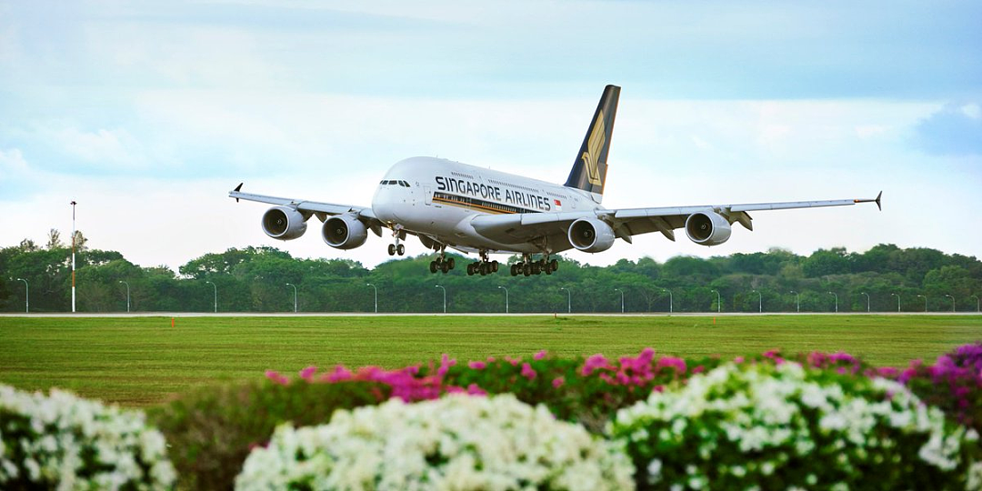 途中遇不明飞行物、带200+同胞穿越危险空域...新加坡空军亲述中东撤侨内幕！（组图） - 1