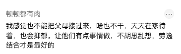 中国大爷来澳洲帮女儿打工撑家，凌晨起床开工，退休生活变高强度劳动！评论区引爆争议（组图） - 16