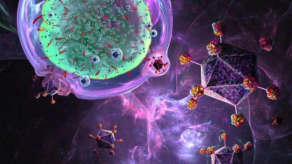 癌症新疗法动物实验治愈率近100%!墨尔本科学家全球首创,获国家资金即将临床试验 - 4