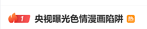 央视曝光色情漫画陷阱:境外团伙围猎青少年,虚拟货币洗钱30多人被抓(组图) - 1