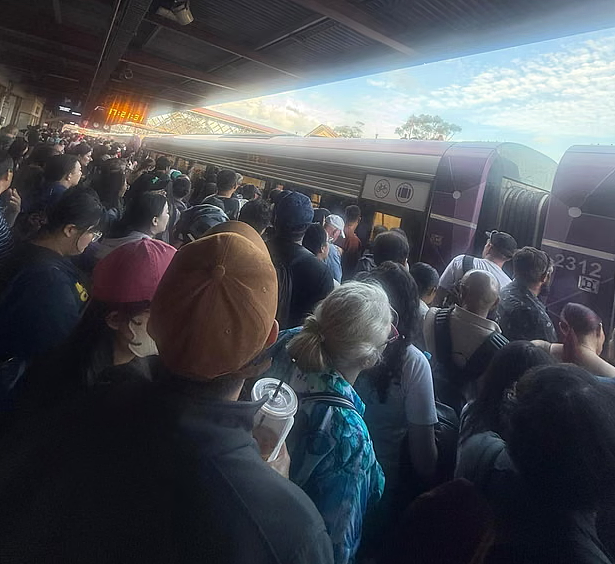 这几天,体验过维州公交免费后,网友说:我宁可付费! - 3