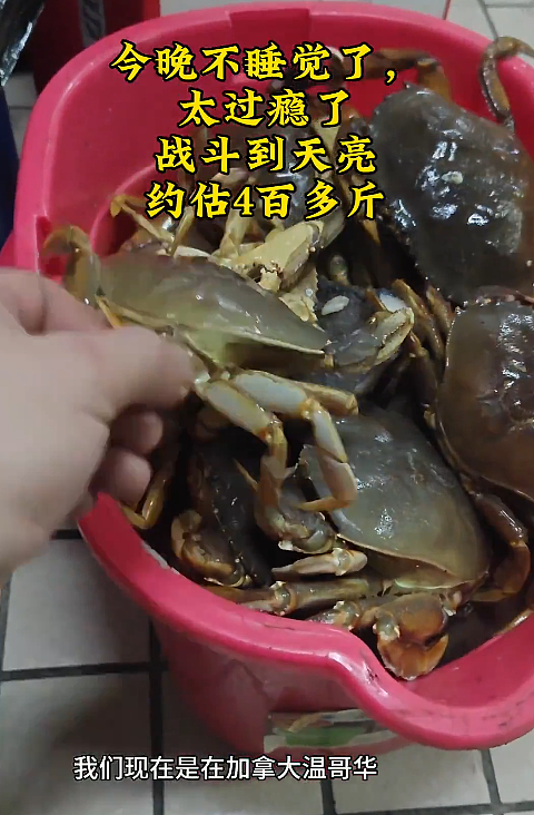 炸锅! 两名华人在加拿大捕捞大量珍宝蟹:,在船上现蒸