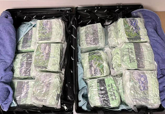 绿茶包装藏冰毒!奥克兰机场查获近20公斤毒品!一名新西兰青年被捕! - 2