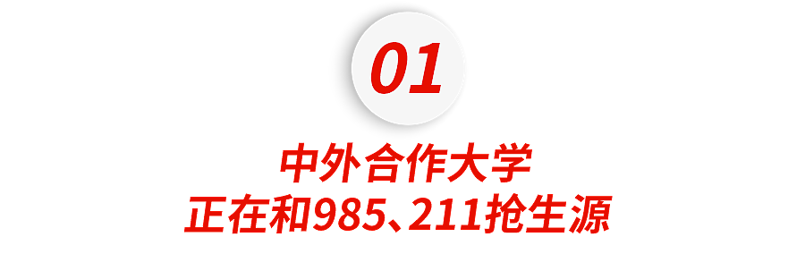 爆火的中外合办大学,北上广中产娃已高攀不起… - 2