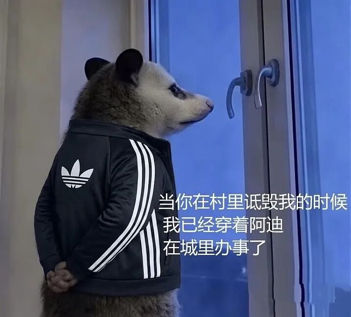 “进城办事”火了！阿迪官方接梗造爆款，定制T恤订单暴增4倍（组图） - 2