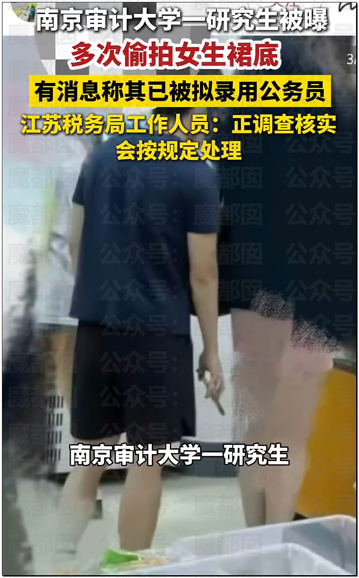 惊悚!全国各地树上忽然集中出现大量诡异奇怪符号!真相是? - 6