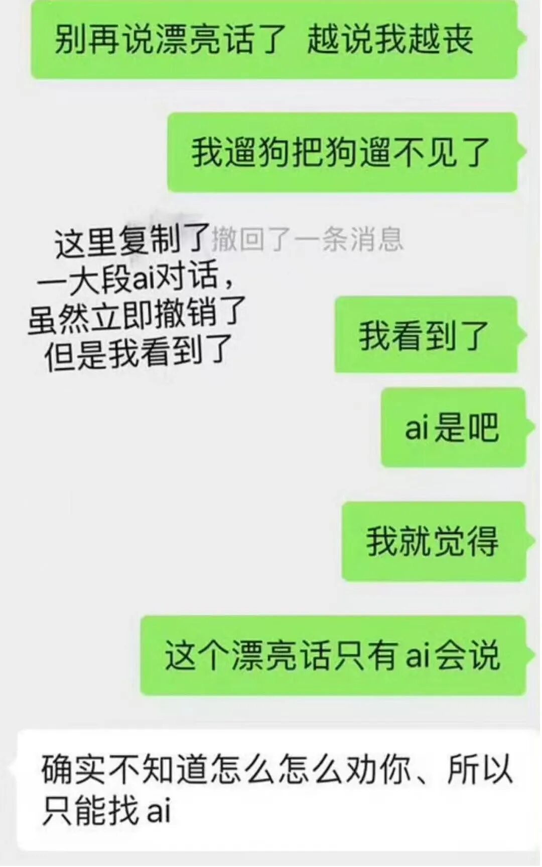 豆性恋渗透中国婚恋圈！AI代聊成社交外挂（组图） - 7