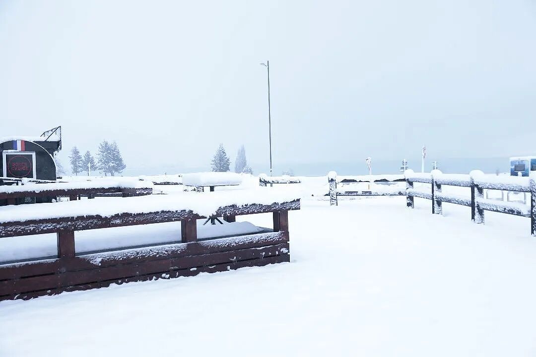 新西兰一地进入紧急状态!25厘米暴雪砸下,华人游客被困,发贴“求出逃”...(组图) - 18