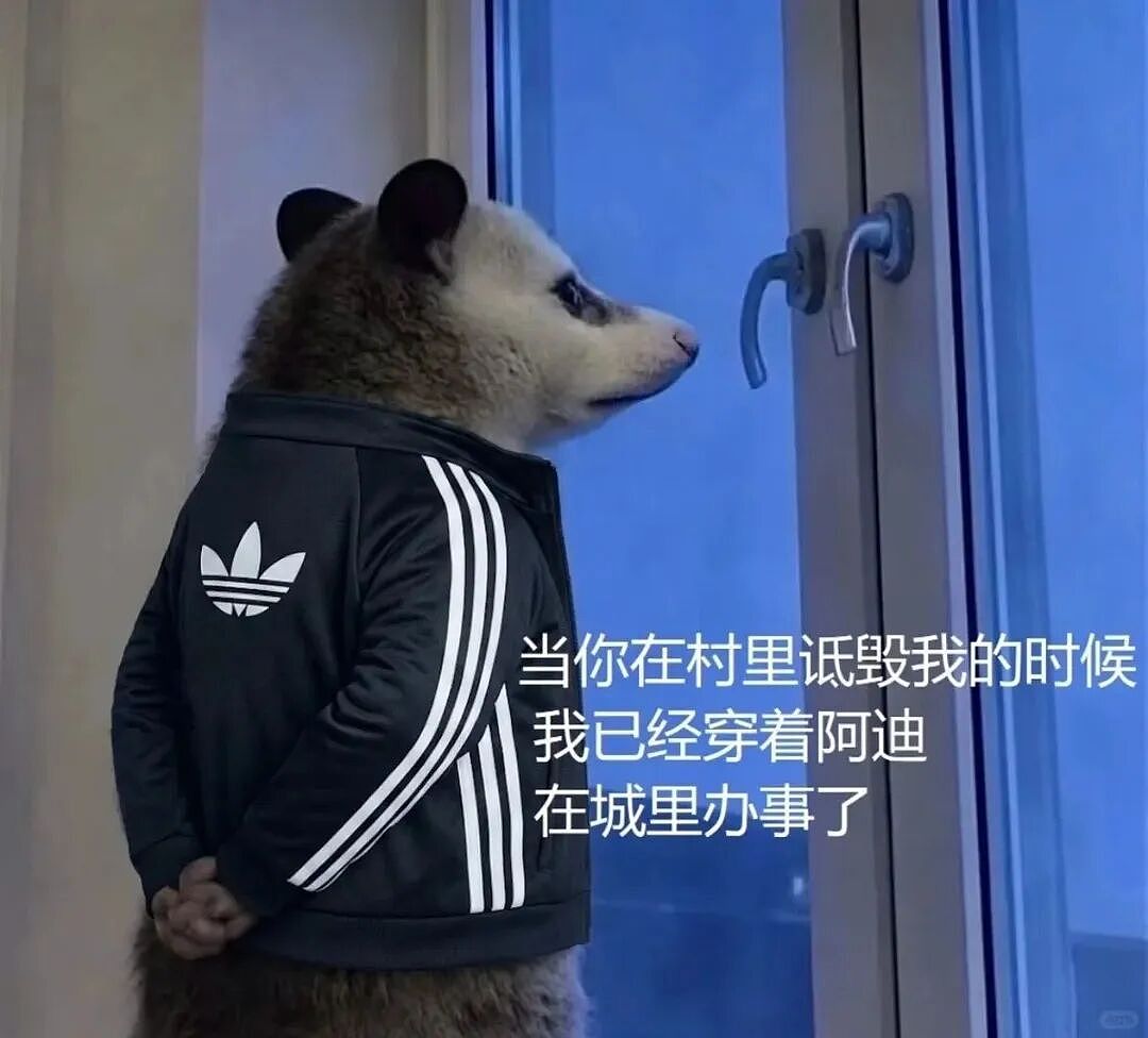 阿迪“进城办事”T恤卖爆！卷不动的运动巨头开始靠整活赚钱（组图） - 2