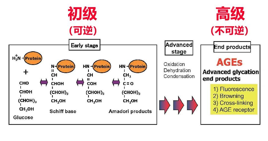 今天我想把“抗糖”这件事，说清楚！ - 9