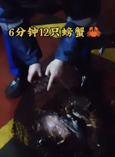 全网痛骂！华人温哥华疯狂捕捞400多斤螃蟹，现蒸配啤酒直喊爽！视频疯传（组图） - 3