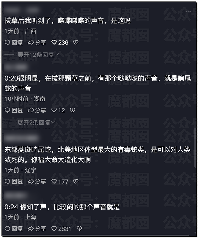 全网骇然！女生被AI带入剧毒蛇窝！遍地响尾蛇险些命丧当场（组图） - 54