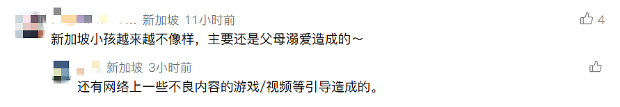 新加坡7名未成年围堵霸凌14岁少女：轮番掌掴踹打40分钟、最小施暴者仅12岁（组图） - 9
