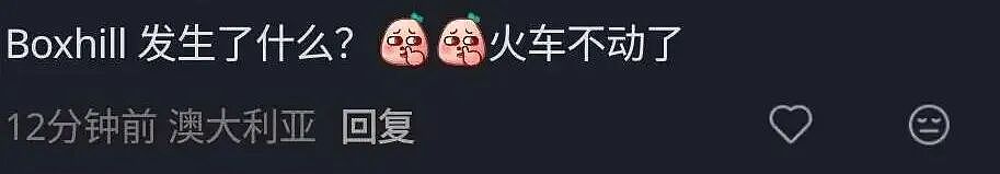 澳华人区疑似有人卧轨，火车线路中断（组图） - 4