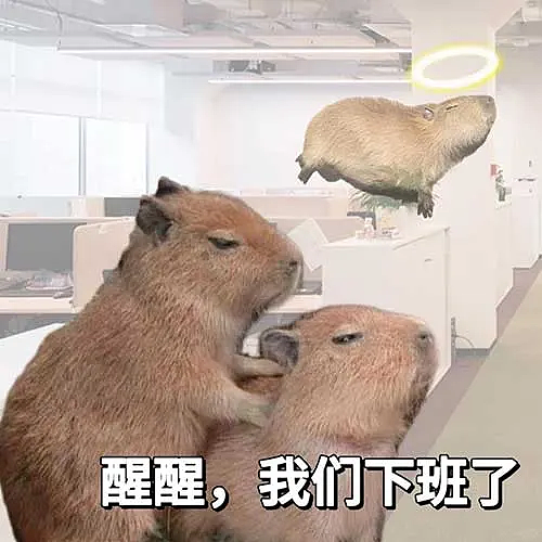 上班真会变丑!外网博主分享上班前后“班味”对比,网友落泪:是我本人(组图) - 23