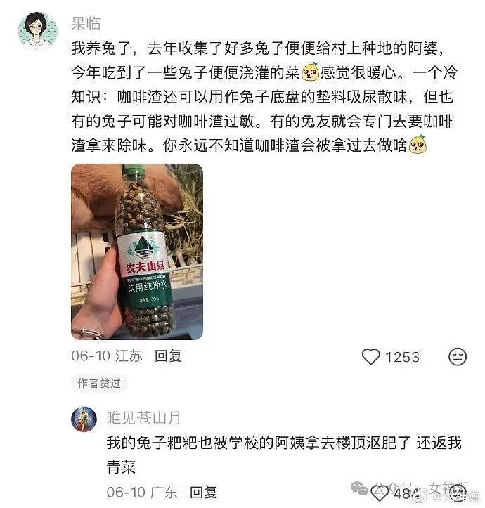 在X宝买了件性感连衣裙，把自拍发网上后..？网友笑疯：这是蟒蛇的身份证？ - 38