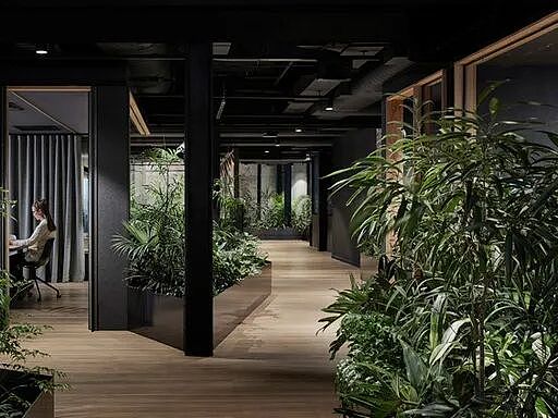 澳洲留学生集体破防！同样毕业三年，有人年薪12.8万买房，有人7.5万还在找兼职…这个专业最可能被AI偷家！ - 12
