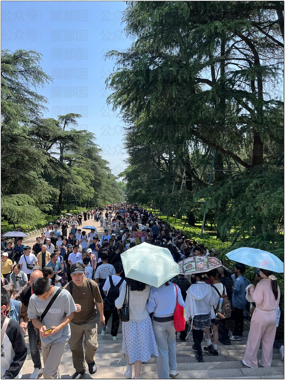 肉贴肉，人挤人！五一长假首日，中国各大景点已爆（组图） - 68