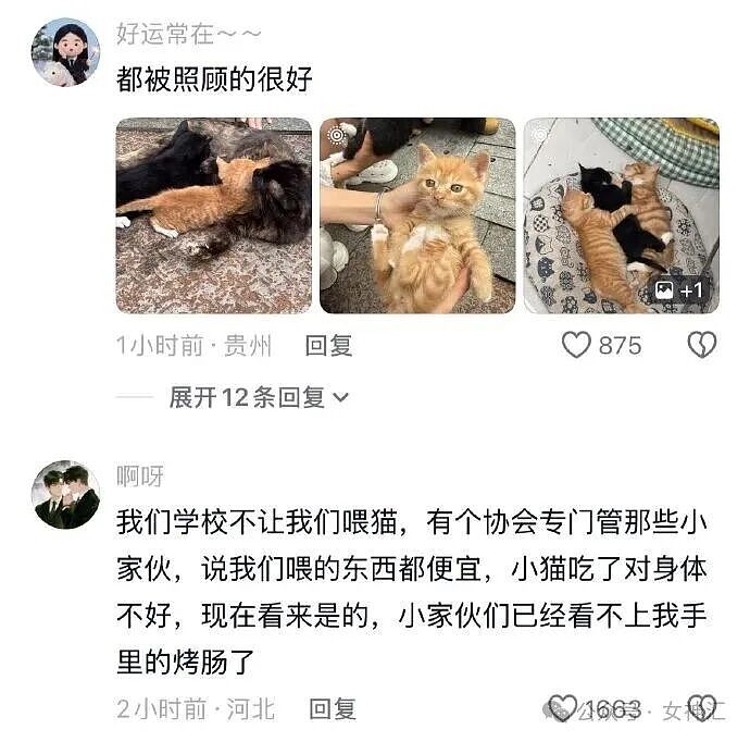 相亲对象竟是宋仲基?场面太尴尬了!网友笑喷:媒婆不上网吗?(组图) - 32