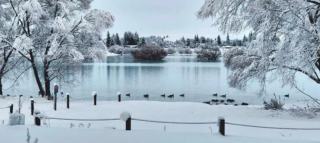 新西兰一地进入紧急状态!25厘米暴雪砸下,华人游客被困,发贴“求出逃”...(组图) - 14