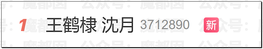 爆热一!王鹤棣和沈月?男方被反噬口碑崩塌?全网猛扒黑料?(组图) - 30